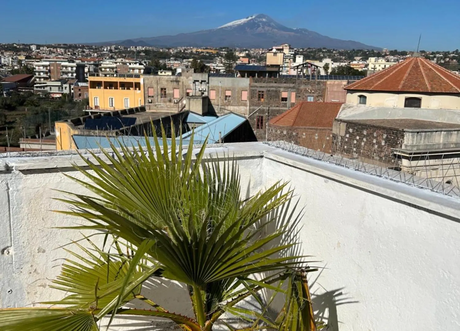 Residenza Parco Gioeni Daire Katanya